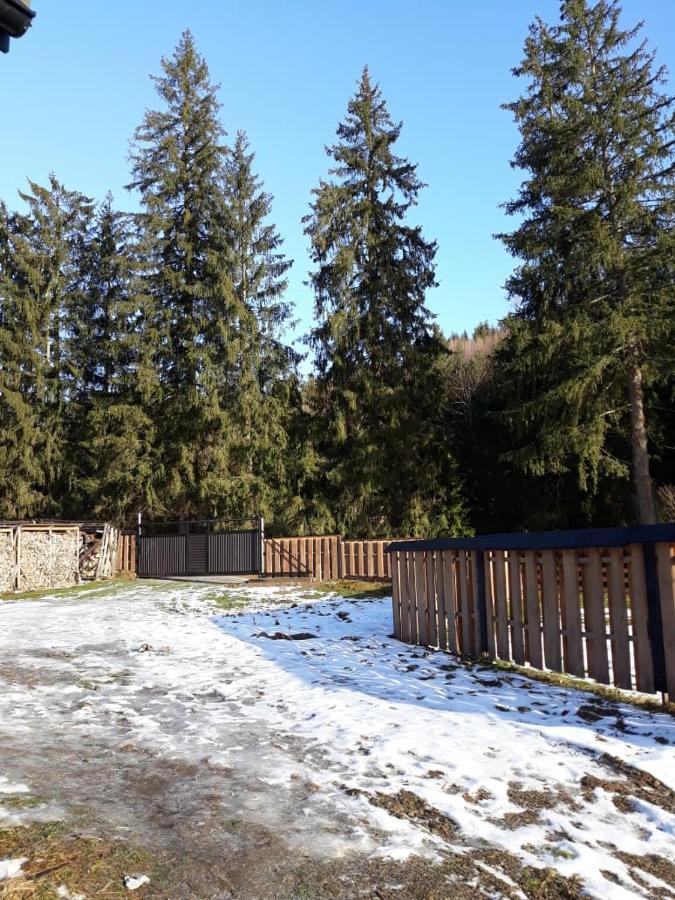 Ozdoba Villa Verkhovyna Bagian luar foto