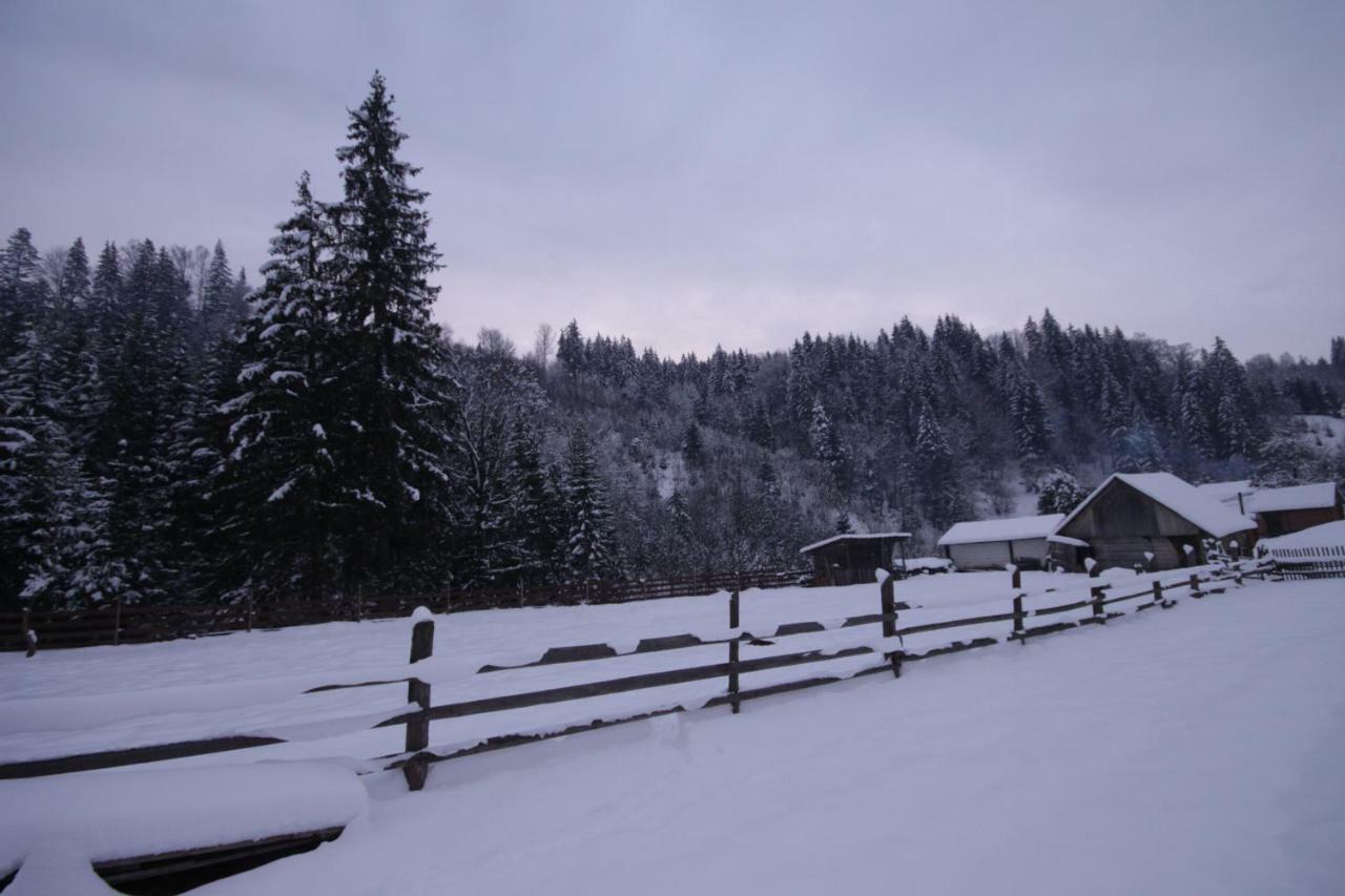 Ozdoba Villa Verkhovyna Bagian luar foto