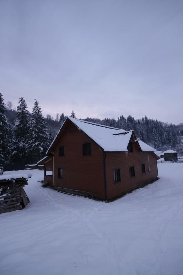 Ozdoba Villa Verkhovyna Bagian luar foto