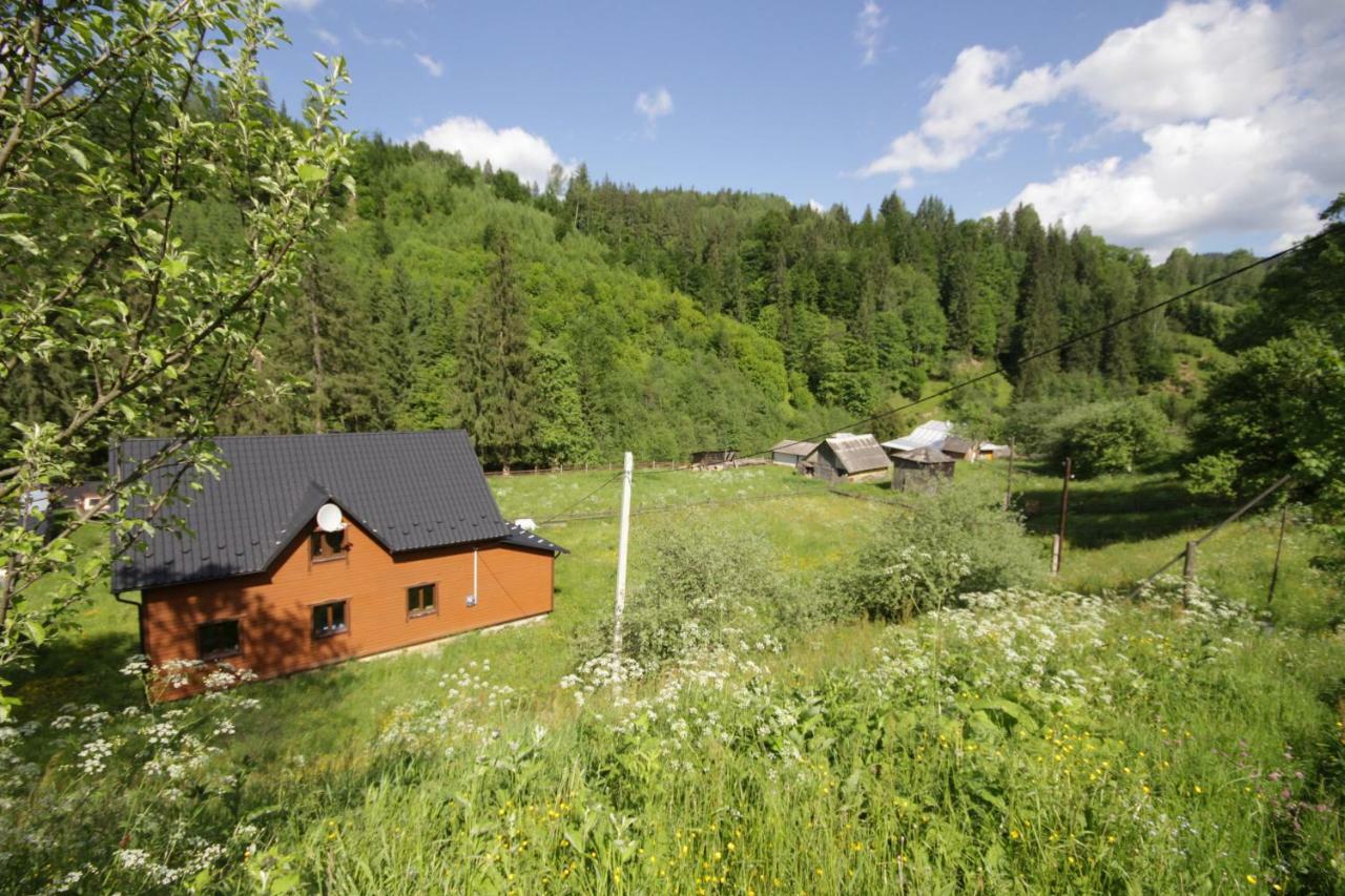 Ozdoba Villa Verkhovyna Bagian luar foto