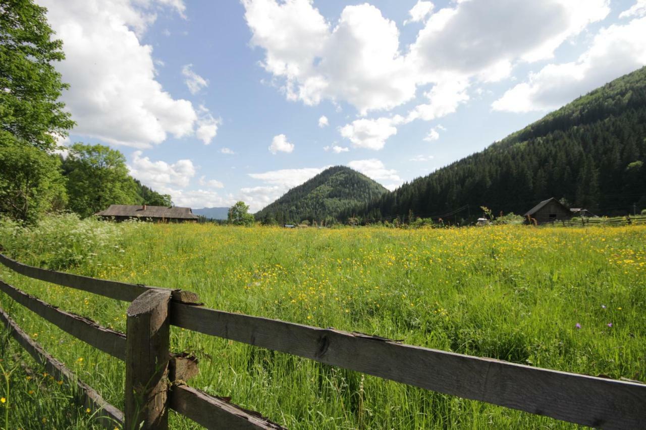 Ozdoba Villa Verkhovyna Bagian luar foto